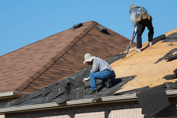 Best Roof Maintenance and Cleaning  in Oracle, AZ